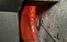 Billeder fra gæster i Giorgio Winery