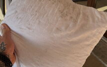 Billeder fra gæster i Ville San Pietro (Rei352)