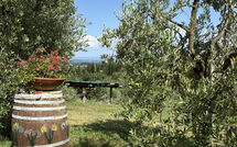 Billeder fra gæster i Il Campanile