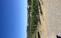 Billeder fra gæster i Villa le Buche