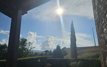 Billeder fra gæster i Villa Alabastro