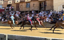 Billeder fra gæster i Tenuta Il Tresto