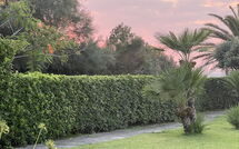 Billeder fra gæster i Cala Marina