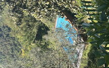 Billeder fra gæster i Il Castagneto