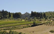 Billeder fra gæster i Contessa di Gaiole