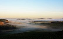 Billeder fra gæster i Podere Cunina