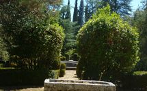 Billeder fra gæster i Palazzo Sarteano