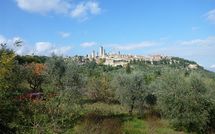 Billeder fra gæster i Podere degli Olivi