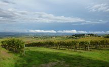 Billeder fra gæster i Podere degli Olivi