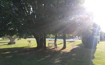 Billeder fra gæster i Villa Fontine