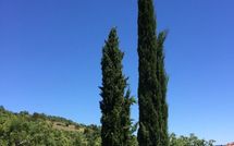 Billeder fra gæster i Casa Caldesi