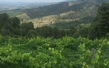 Billeder fra gæster i Castellinuzza