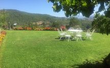 Billeder fra gæster i Palazzo Rosadi