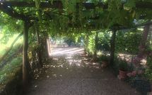 Billeder fra gæster i Palazzo Rosadi