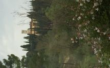 Billeder fra gæster i Villa Cinzia