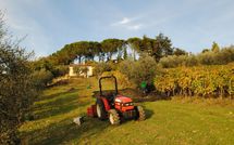 Billeder fra gæster i Casa Lucia