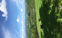 Billeder fra gæster i Palazzo Rosadi