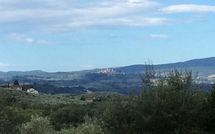 Billeder fra gæster i Villa Orchidea