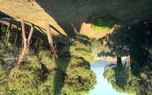 Billeder fra gæster i Spuntone