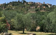 Billeder fra gæster i Villa Ardene