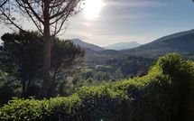 Billeder fra gæster i La Palma