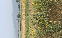 Billeder fra gæster i Case Sant'Anna