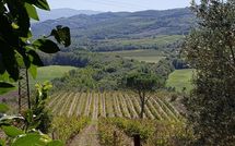 Billeder fra gæster i Cerretalta