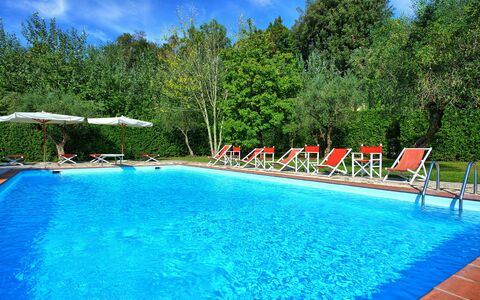 Villa Fiamma: Vand, Plante, Svømmepøl, Himmel, Azure, Sky, Træ, Udendørs Møbler, Naturlige Landskab, Rektangel