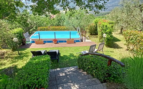Il Circolo: Svømmepøl, Have, Fritid, Skygge, Backyard, Landscaping, Eco Hotel, Lawn, Gård, Udvej