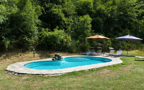 Villa Paola: Svømmepøl, Udendørs Møbler, Fritid, Udvej, Backyard, Have, Skygge, Landscaping, Water Feature, Eco Hotel