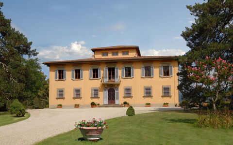 Villa Del Conte: Estate, Ejendom, Bygning, Hus, Mansion, Hjem, Herregård, Villa, Statelig Hjem