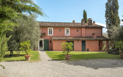 Il Vignale
