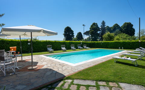 Villa Del Borgo: Svømmepøl, Udvej, Lawn, Have, Udendørs Møbler, Landscaping, Estate, Villa, Hacienda, Eco Hotel