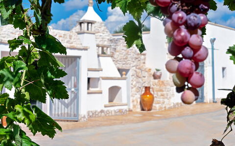Trulli Itaka: Ejendom, Arch, Arkitektur, Plante, Ejendom, Vitis, Hus, Træ