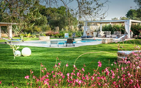 Trulli Itaka: Have, Lawn, Græs, Botanisk Have, Træ, Forår, Botanik, Blomst, Plante, Parkere