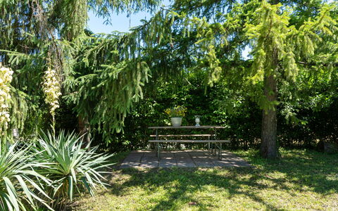 Villa Il Nido: Plante, Plantesamfund, Udendørs Bench, Naturlige Landskab, Træ, Land Lot, Skygge, Terrestrisk Plant, Arecales, Busk