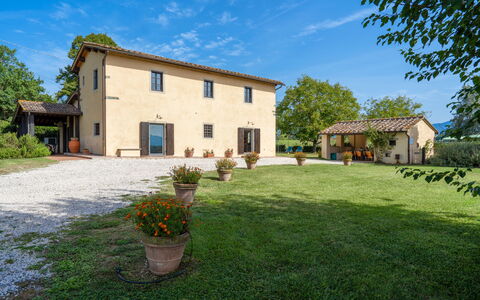 Villa La Collina: Plante, Himmel, Sky, Bygning, Vindue, Træ, Blomsterkrukke, Hus, Land Lot, Dør