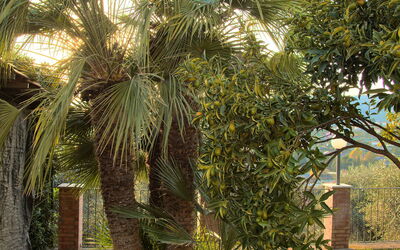 Casa Luciana - Diano Marina