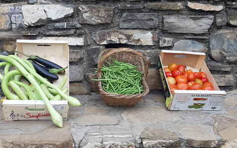 Casa Ilaria - Diano Marina: Mad, Ingrediens, Naturlige Fødevarer, Træ, Offentlige Rum, Græs