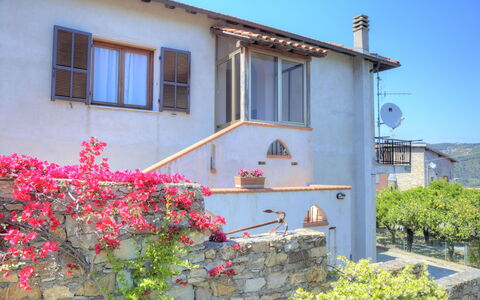 Flowers Of Andora