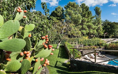 Eden Retreat: Sky, Plante, Himmel, Plantesamfund, Botanik, Blad, Vegetationen, Træ, Naturlige Landskab, Biome