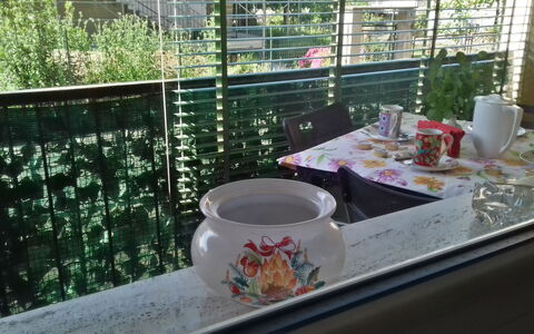 Corallo: Bord, Hjem, Bordservice, Møbel, Hus, Kop, Have, Glas, Serveware, Plante