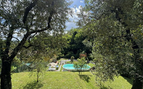 Casa Milena: Plante, Plantesamfund, Himmel, Træ, Naturlige Landskab, Skygge, Land Lot, Vegetationen, Sollys, Biome