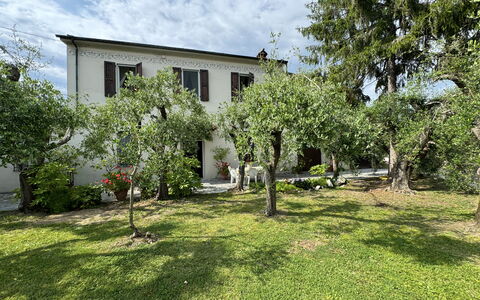 Casa Romana: Hus, Busk, Boligområde, Have, Hjem, Lawn, Backyard, Gård, Estate