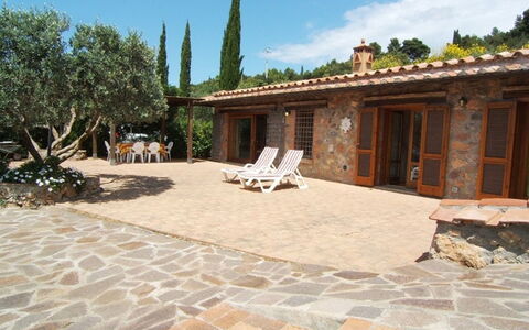 Raggio Di Sole Sull'argentario: Ejendom, Bygning, Hus, Estate, Gårdhave, Flise, Hjem, Ejendom, Gårdsplads, Træ