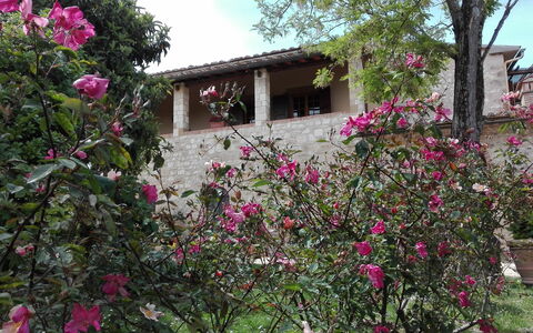 Agriturismo La Pieve: Blomst, Ejendom, Plante, Hus, Lyserød, Botanik, Træ, Forår, Landdistrikt, Bygning