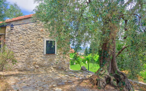 Country Home Il Passatempo: Træ, Ejendom, Hus, Væg, Ejendom, Sommerhus, Vedplante, Plante, Land Lot, Landdistrikt