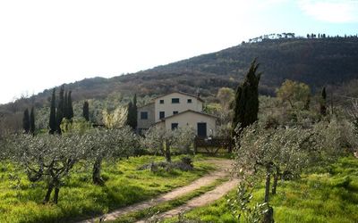 Panoramic view