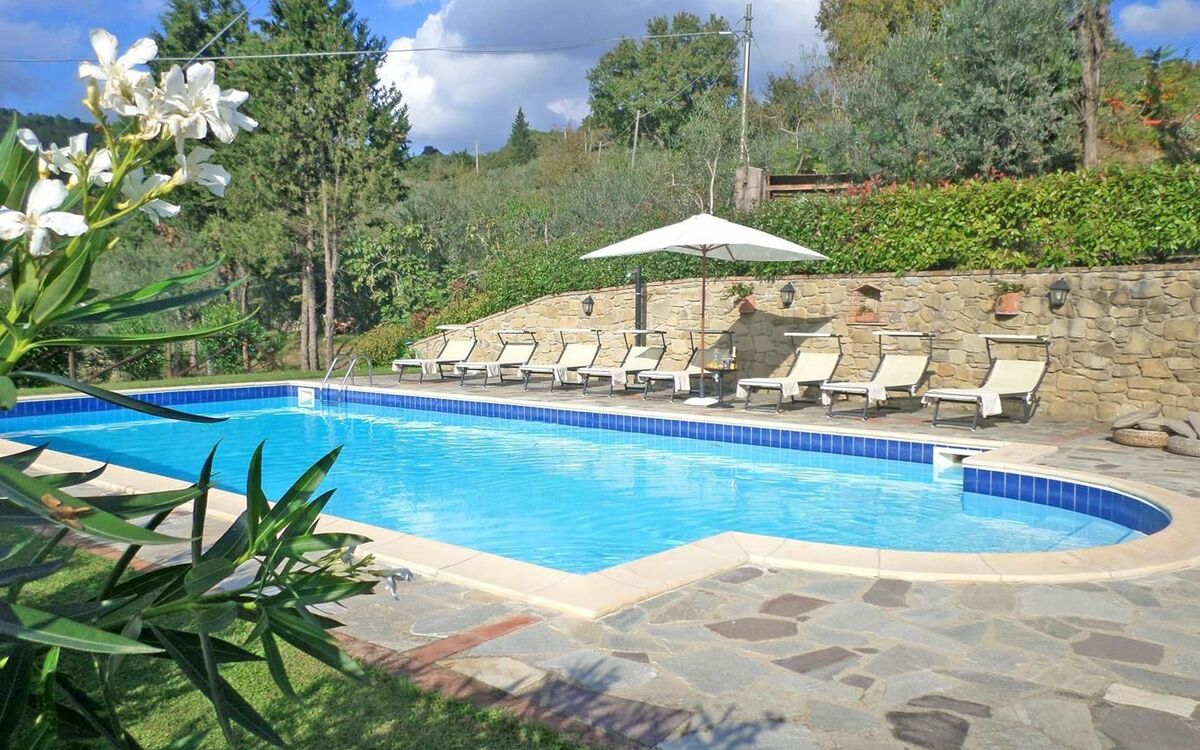 Swimming pool and garden