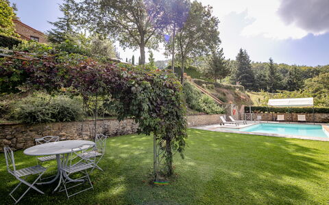 Villa Ginestra: Ejendom, Natur, Græs, Grøn, Hus, Svømmepøl, Ejendom, Estate, Backyard, Lawn